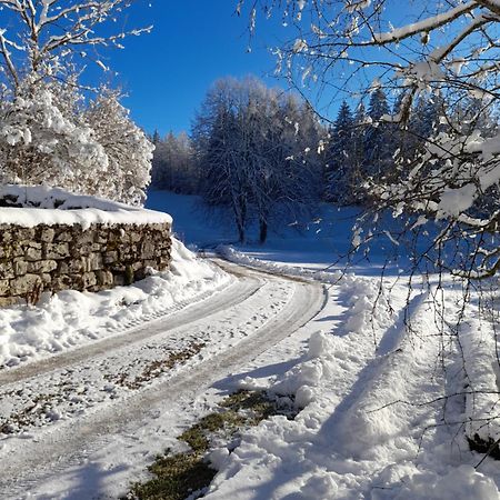 Ch'Tit Jura Bed and Breakfast Les Moussieres Εξωτερικό φωτογραφία