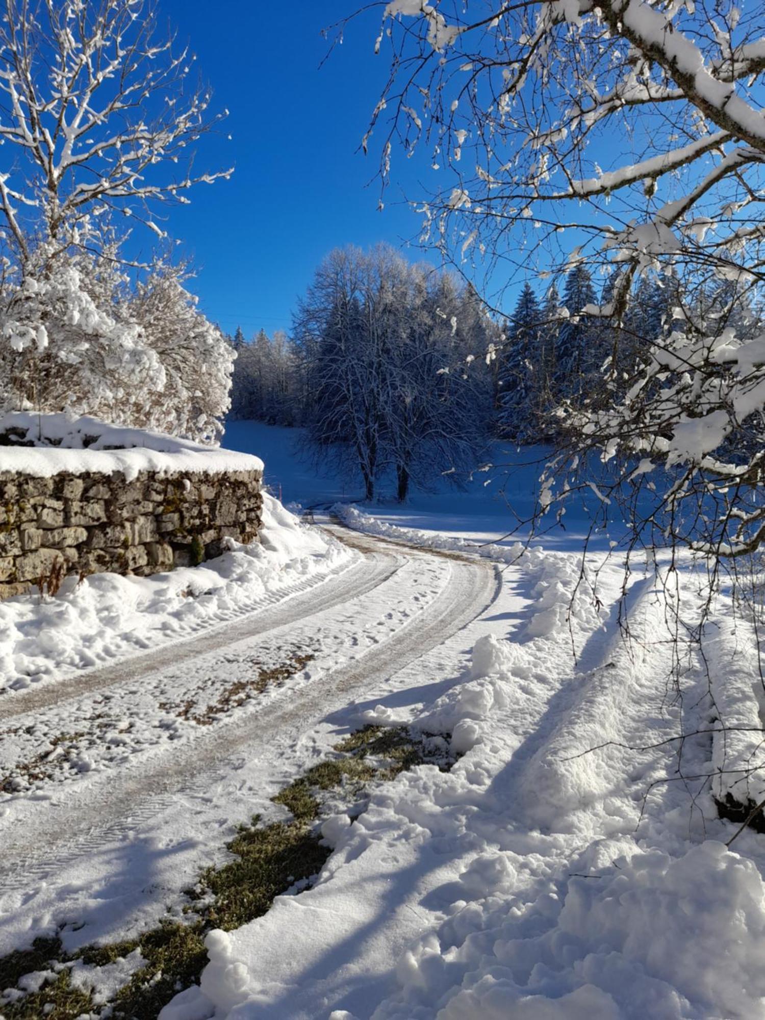 Ch'Tit Jura Bed and Breakfast Les Moussieres Εξωτερικό φωτογραφία